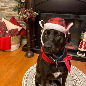 Meet your Posher, Joann